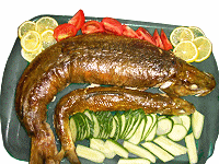 Baikal lenok fishing dinner made by the boat cook and served at the stern deck