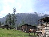 Siberia travel - shumak wooden huts